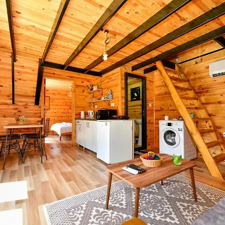 Astonishing Tiny House With Private Pool Close To Lycian Way In Oludeniz Hébergement de vacances Ovacık